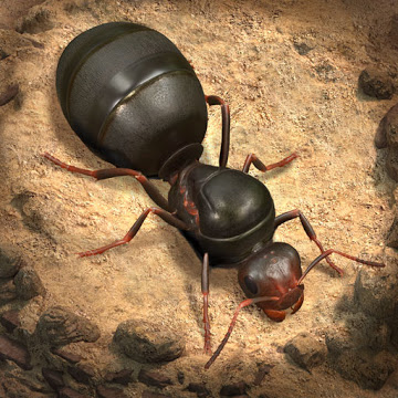 小小蚁国国际服最新版2023(The Ants)