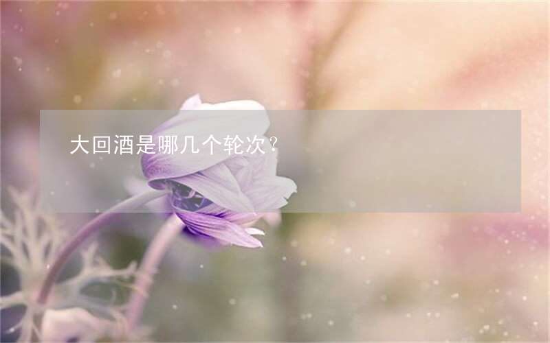 大回酒是哪几个轮次?