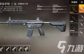 吃鸡一般带哪两把枪