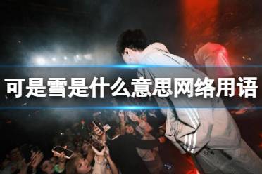 可是雪是什么意思网络用语 可是雪啊是哪首歌的歌词揭秘