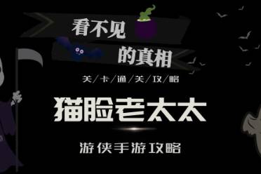 看不见的真相猫脸老太太怎么玩