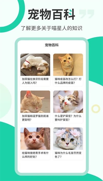 猫语翻译机中文版
