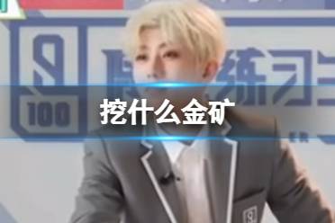 挖什么金矿 哇什么情况蔡徐坤梗最新