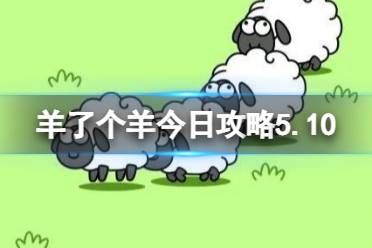 《羊了个羊》今日攻略5.10最新 5月10日羊羊大世界和第二关怎么过