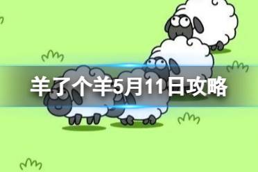 《羊了个羊》5月11日攻略 游戏攻略5月11日第二关玩法