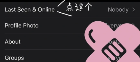 WhatsApp怎么隐藏在线状态一览（隐身设置方法）