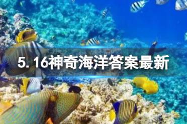 海底声学探测是发射声波分析回波判断海底地貌的吗 蚂蚁森林神奇海洋今日答