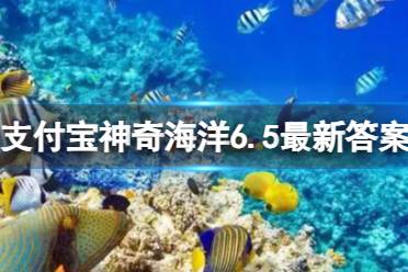无眼鱼感知外界靠嗅觉和长触须还是听觉 神奇海洋6.5今日答案最新