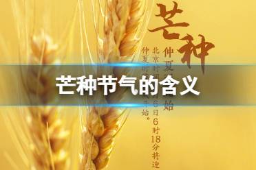 芒种节气的含义 芒种节气的特点和风俗有哪些