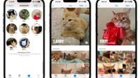 iOS17隐藏新特性曝光：图像识别能力增强 现在能识别宠物