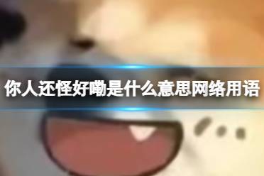 你人还怪好嘞是什么意思网络用语 你人还怪好嘞梗出处是什么