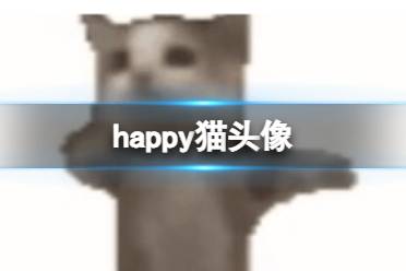 happy猫头像 happy猫头像图片一览