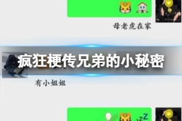 《疯狂梗传》兄弟的小秘密 猜猜兄弟间的暗号怎么通关