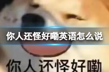 你人还怪好嘞英语怎么说 你人还怪好嘞英文说法一览