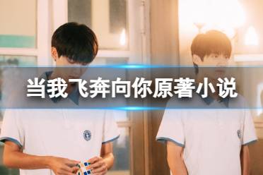 当我飞奔向你原著小说叫什么 当我飞奔向你原著小说详细介绍