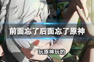 前面忘了后面忘了原神 前面忘了后面忘了和原神有关系一览