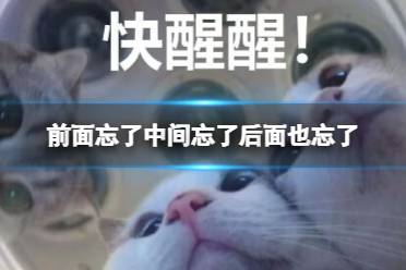 前面忘了中间忘了后面也忘了 前面忘了中间忘了后面也忘了梗解释