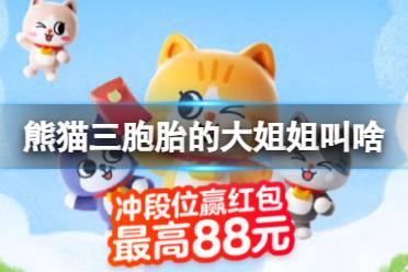 熊猫三胞胎的大姐姐叫啥 淘宝大赢家今日答案6月20日最新