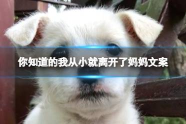 你知道的我从小就离开了妈妈文案 你知道的我从小就离开了抖音梗释义