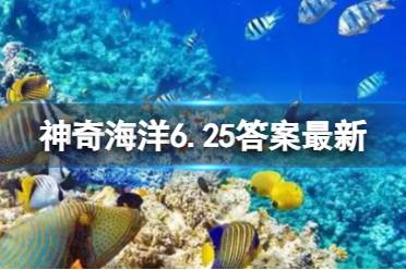 支付宝神奇海洋6.25鲸鱼今日答案最新 神奇海洋鲸鱼会被晒伤吗