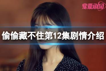 偷偷藏不住第12集剧情介绍 偷偷藏不住分集剧情介绍第12集一览