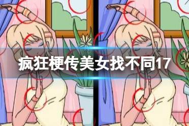 《疯狂梗传》美女找不同17 美女找不同17怎么通关