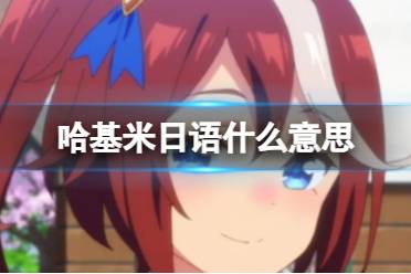 哈基米日语什么意思 哈基米日语中是什么意思