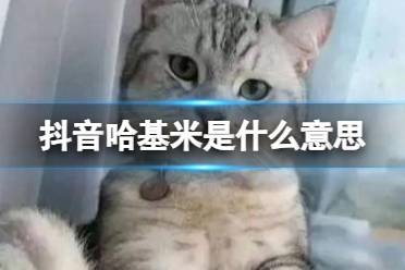 抖音哈基米是什么意思 哈基米梗释义
