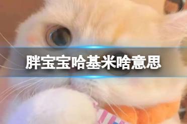 胖宝宝哈基米啥意思 胖宝宝哈基米科普一览