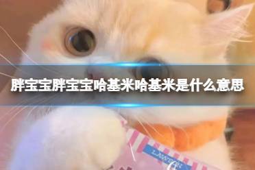 胖宝宝胖宝宝哈基米哈基米是什么意思 胖宝宝哈基米梗释义