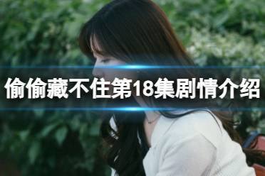 偷偷藏不住第18集剧情介绍 偷偷藏不住分集剧情介绍第18集剧情