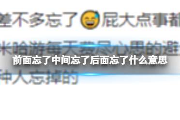 前面忘了中间忘了后面也忘了梗 前面忘了中间忘了后面也忘了原神是什么