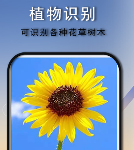 什么软件能识别看图写话 能识别看图写话的app合集一览