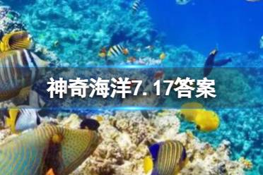 寿命最长的珊瑚鱼类是什么 神奇海洋今日答案7.17最新