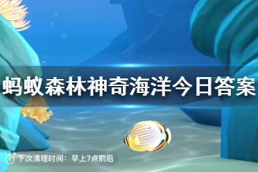 蚂蚁森林神奇海洋今日答案 神奇海洋今日答案2023最新