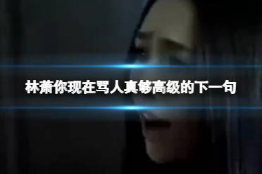林萧你现在骂人真够高级的是谁说的 林萧你现在骂人真够高级下一句