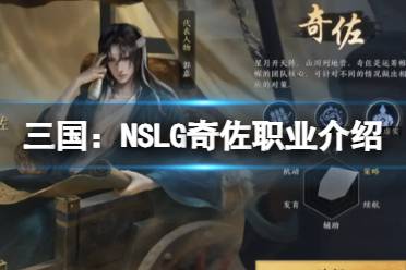 《三国：NSLG》奇佐职业介绍 六大职业解读