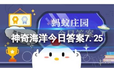 神奇海洋今日答案7.25最新 支付宝哪种海洋生物是世界上最大的无脊椎动物