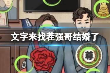《文字来找茬》强哥结婚了 找出12处不和谐通关心得分享