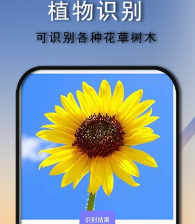 识别昆虫的软件app有哪些 可识别昆虫的app下载有哪些推荐