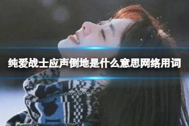 纯爱战士应声倒地是什么意思网络用词 纯爱战士应声倒地梗百科最新一览