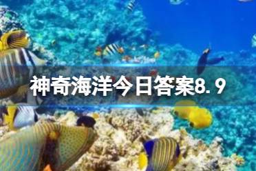 流线型身体形状有什么生物学意义 神奇海洋答案2023.8.9