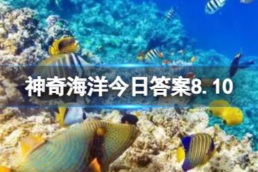 海里矿物质最丰富的是 支付宝神奇海洋今日答案8.10最新
