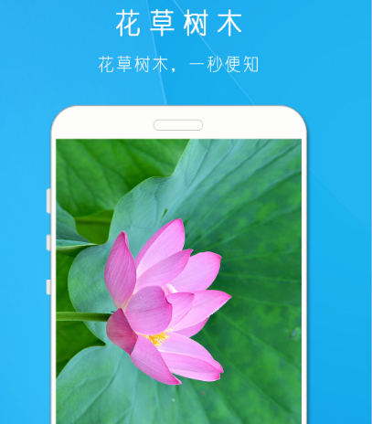 万物识别扫一扫免费软件有哪些 扫描识别万物app攻略