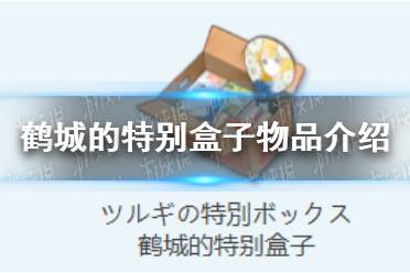 《蔚蓝档案》鹤城的特别盒子物品图鉴一览