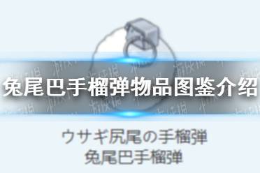 《蔚蓝档案》兔尾巴手榴弹物品图鉴一览