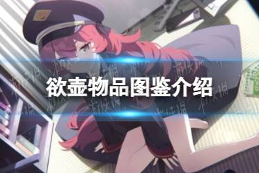 《蔚蓝档案》欲壶物品图鉴攻略