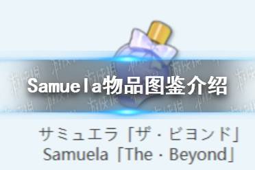 《蔚蓝档案》Samuela物品图鉴一览