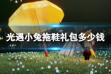 《光遇》小兔拖鞋礼包价格一览