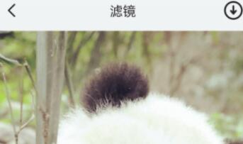 高清相机软件有哪些 好用的拍照APP推荐